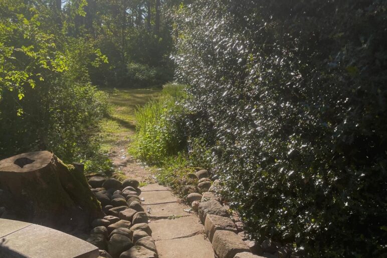 A path leading into woodlands